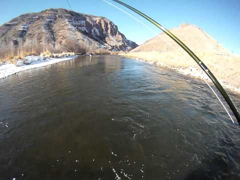 Using a Ketchum Release Tool