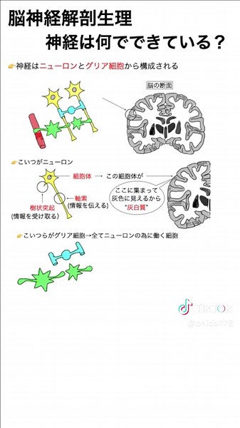 #看護学生 #看護師 #勉強 #勉強法 #国家試験 #実習 #看護学生の勉強垢 #成人実習 #手術 #病態関連図 #解剖生理学 #脳神経