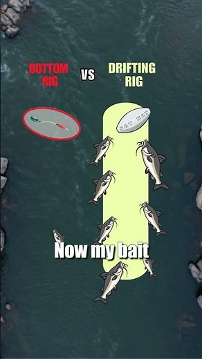 River Fishing Tips: How To Catch BIG Flathead, Blue & Channel Catfish: FATKAT Best Catfishing Rigs!
