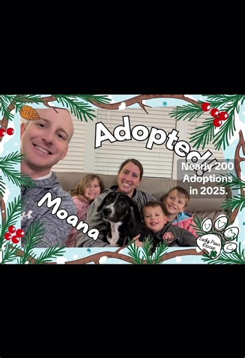 As we look back on 2025, we're overwhelmed with gratitude and pride. This year, we celebrated around 200 adoptions — that's more than one dog finding a home every other day. #fyp #AdoptDontShop #southcarolina #animalrescue #2025 @Lucky Paws Rescue SC @RoseBunny
