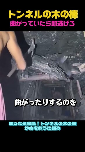 トンネルの中に木の棒を設置する本当の理由を知ればびっくりするでしょう。