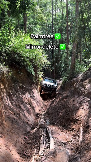 Exploring Patrol Techniques with Palmtree Insights