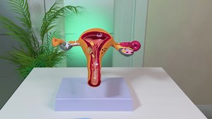 1.1M views · 2.3K reactions | Simple Intimate Care Tips You Can Trust | 5-Minute Crafts Family | Facebook