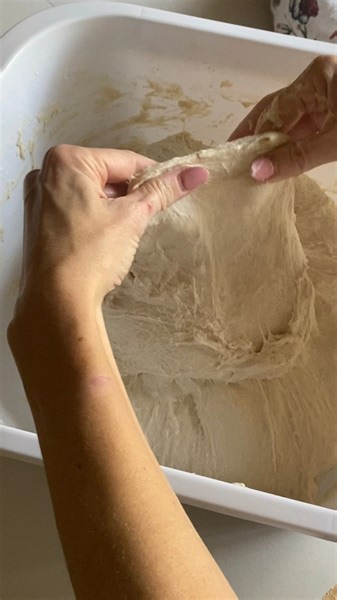 96K views · 996 reactions | The difference just after a short autolyze  | ADKA’s fishhawk delights | Facebook