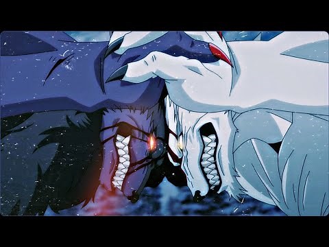 LoBo negro 🆚 LoBo blanco |AMV| (white wolf VS black wolf)