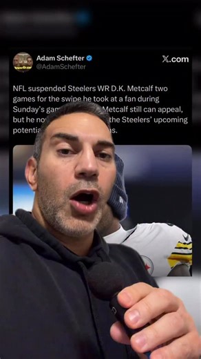 Joseph Robert 🏈 on Instagram: "Why is the media minimizing this? A physical strike on a fan is not “a swipe.” It’s assault — period. If you look at video it’s closed fist. If a regular fan did this to an NFL player, they’d be arrested immediately. No debate. No spin. So why isn’t the standard the same when it goes the other way? Status shouldn’t erase accountability. Rules should apply equally — on and off the field. #nflfootball #nflnews #dkmetcalf"