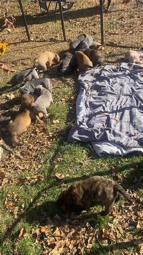 1.4K views · 50 reactions | Love coming home to this | Rob Frahm | Facebook