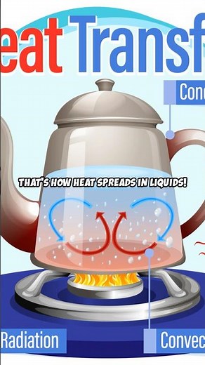 Science Class: Water Convection Magic! 💧 #shorts