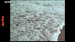 Une histoire des génériques de films - Blow up - Regarder l’émission complète