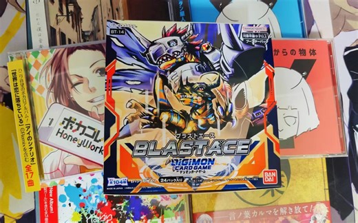 一些V家相关老碟与DTCG BT14开盒