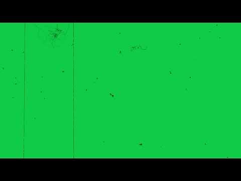 Green Screen | Damage film effects | old film grain overlay | scratches