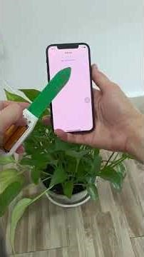 Umidometru sol cu Wi-fi + Gateway Zigbee - vlagomer.md