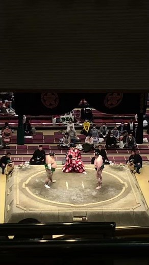 【大相撲三月場所2021】速報！白鷹山vs千代丸 十両優勝が決定！iphone撮影 2021/3/28