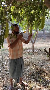 7.4M views · 53K reactions | bure karmo ki saza | Webber Media Films | Facebook