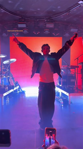 Marcus and Martinus Concert Experience in Frankfurt