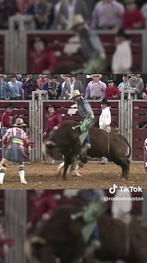 8-second ride circa 1988 📍the astrodome #bullriding #astrodome #bull #rodeotok #rodeohouston #rodeo
