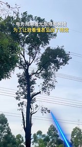 新科技！电力局开始用激光炮修剪树枝了！#六脉神剑 #magical #laser #trees #branch #tech #激光 #黑科技 #万万没想到 | Blueberry TV