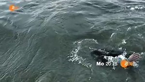 5.9K views · 80 reactions | Gleich um 20.15 Uhr gibt es unseren...