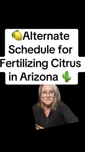 Alternate Citrus Tree fertilizing schedule for Arizona that the U of A Extension recommends. I choose the simpler “holiday” schedule…it has worked for my trees for years. The fertilizer I use recommends my favorite schedule too. But, you do what you think is best for your trees. #greenscreen #citrus #arizona #gardeningtips