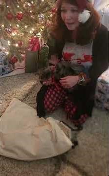 Surprised her with a pet she was so surprised ❤️