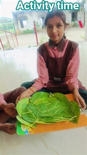 activity time #project work #education