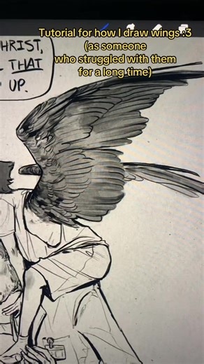 Drawing Bird Wings: A Step-by-Step Tutorial