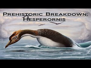 Prehistoric Breakdown: Hesperornis