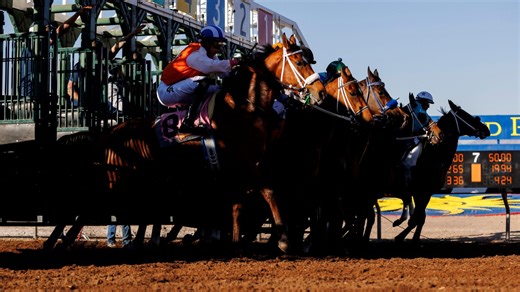 Previewing the Field: A Deep Dive into the Gotham Stakes