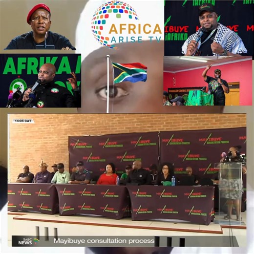 1.1K views · 12 reactions | Finally Floyd Shivambu the former EFF Deputy President and later MK Party National Secretary General launched his own party called Africa Mayibuye Movement #FloydShivambu #politicalparty | Africa Arise tv | Facebook