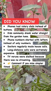 27K views · 229 reactions | Life in the 1950s That Feels Impossible Today ️#VintageLife #HistoryFacts #Nostalgia | Must Watch Reels | Facebook