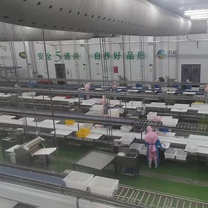 [Hot Item] Meat Cold Chain Storage Freezer Room with Integrated Cooling Equipment Refrigeration System