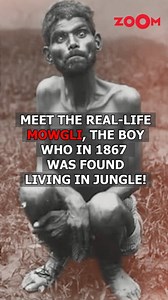 Meet the real-life Mowgli, Dina Sanichar. A 19th-century Indian man, Dina Sanichar was raised by wolves and spent the first few years of his life believing he was one. Discovered by hunters in a cave in Uttar Pradesh in February 1867, he was taken to a nearby orphanage. Stay tuned for details! #zoomtv #cuttingedge #RealLifeMowgli #DinaSanichar #IncredibleStories | Zoom TV