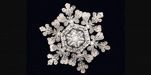 Fall in love with the first photos of snowflakes