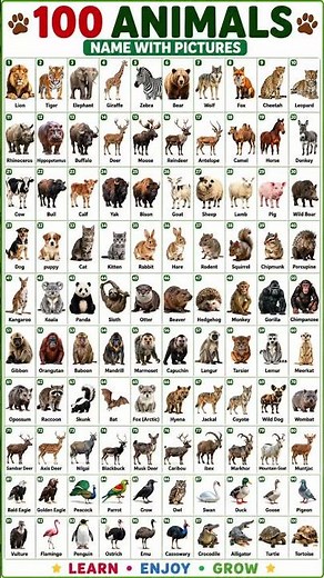 100 Animals Names in English | Learn Animal Names with Pictures | Animals Vocabulary for Kids #daily