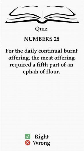 Numbers 28: The Mysterious Meat Offering Explained! 🌾🫒✨