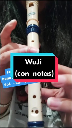 Canciones Mexicanas en Flauta - Adivina la Melodía