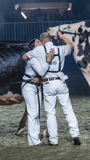 Throwing it back to last year’s National Holstein and Ayrshire shows at the Royal Agricultural Winter Fair! Check out today’s results below. National Holstein Show: https://cowsmo.com/events/national-holstein-show-2025/ National Ayrshire Show: https://cowsmo.com/events/national-ayrshire-show-2025/ | Cowsmopolitan, Inc.