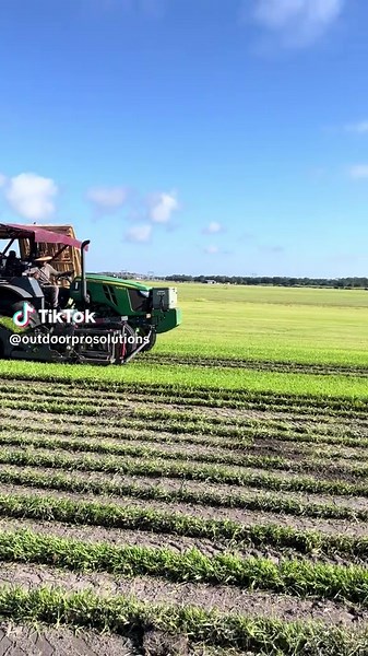 Sod Replacement Tips for a Lush Garden