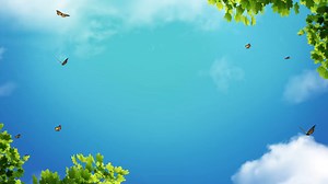 NewsWatch 12’s Mother's Day Giveaway! To celebrate all the incredible mothers out there NewsWatch 12 and our sponsors are bringing you a special Mothers Day Giveaway package! Go to our website to enter for yourself, your mom or a mother you love! Now through May 8th 2022! Winner is announced May 9th 2022! One lucky mom will win a Grand prize package of over $800! Grand Prize includes: Holliday Jewelry- Sterling Silver Blue Topaz Swirl Frederic Duclos Necklace & Earring Set $430 Seven Feathers Ho