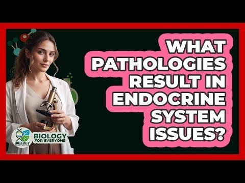 What pathologies result in endocrine system issues?