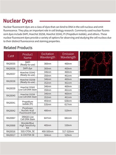 EnkiLife Cell Fluorescent Dyes