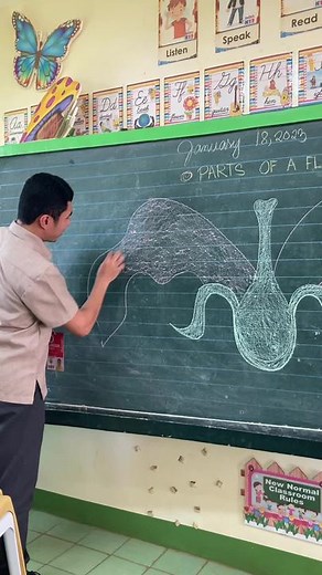 Understanding the Parts of a Flower: A Comprehensive Guide