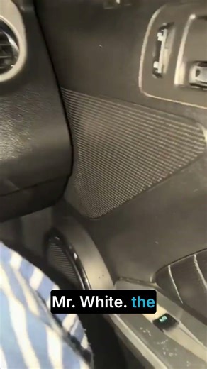 Driving Lesson Take 2! 🎬😂