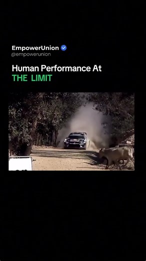 From the outside, it looks like instinct. Inside the cockpit, it is pure pre-training. Elite rally drivers operate with reaction times under 200 milliseconds, processing terrain shifts, obstacles, and moving hazards faster than conscious thought. At speed, there is no room for hesitation. Every steering input is pre-calculated through neural conditioning and muscle memory built over thousands of hours. What feels like a last-second correction is actually predictive decision-making. The brain is 