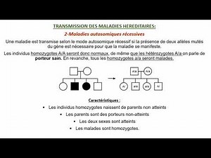 L'hérédité Humaine