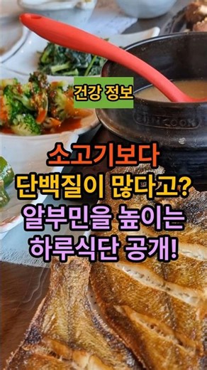 소고기보다 단배질이 많다고? 알부민을 높이는 하루식단 공개! #건강식단 #건강정보 #5060건강 #시니어건강 #백세건강 #단백질음식