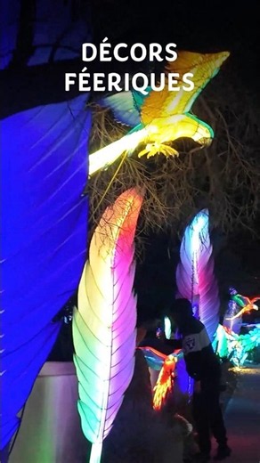 Festival des Lumières 2026 | Découvrez l’événement