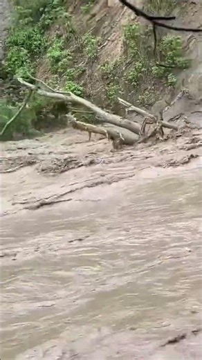 Unbelievable floods | real footage #viral #trending #floods #flood #disaster