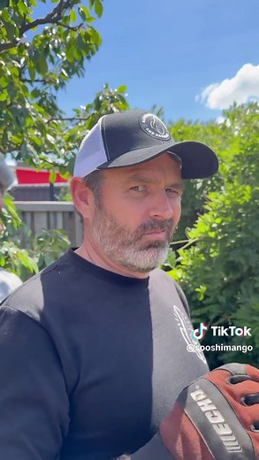 Free Gardening Tips for Planting Japanese Mango Seeds