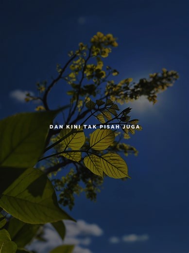 Bila Cinta Tak Terbalas - Lagu Tentang Suka Sama Bini Orang